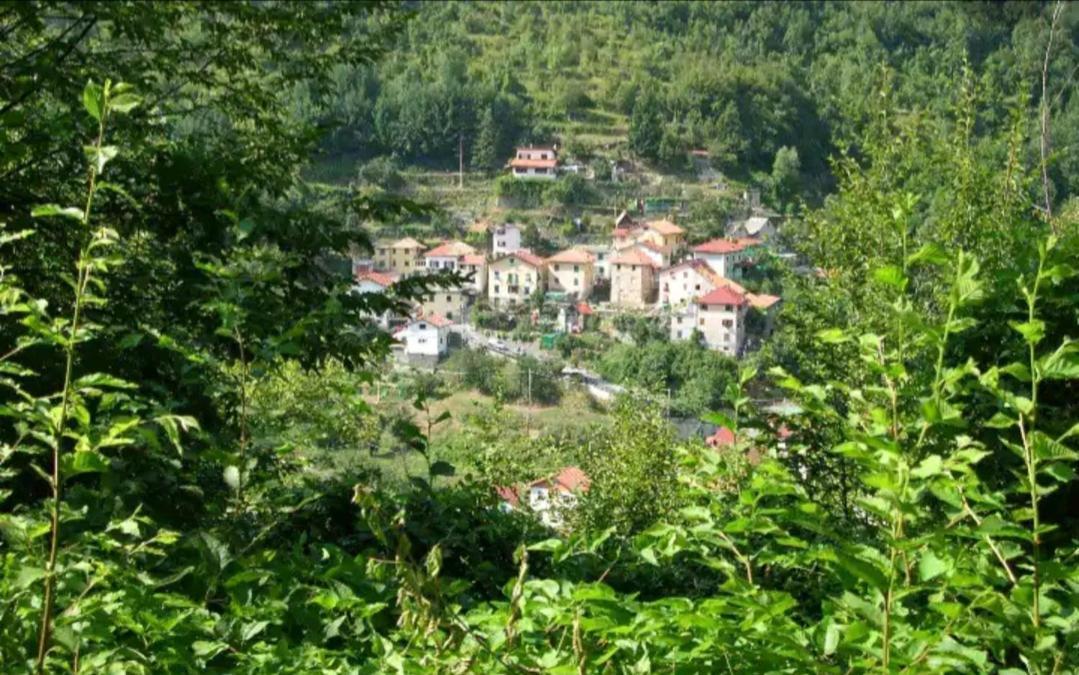 Il Non Ti Scordar Di Me Villa Valbravenna Buitenkant foto