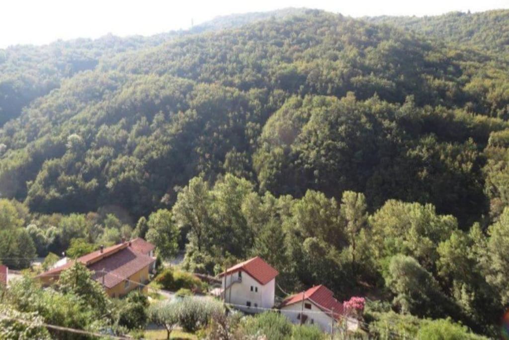 Il Non Ti Scordar Di Me Villa Valbravenna Buitenkant foto